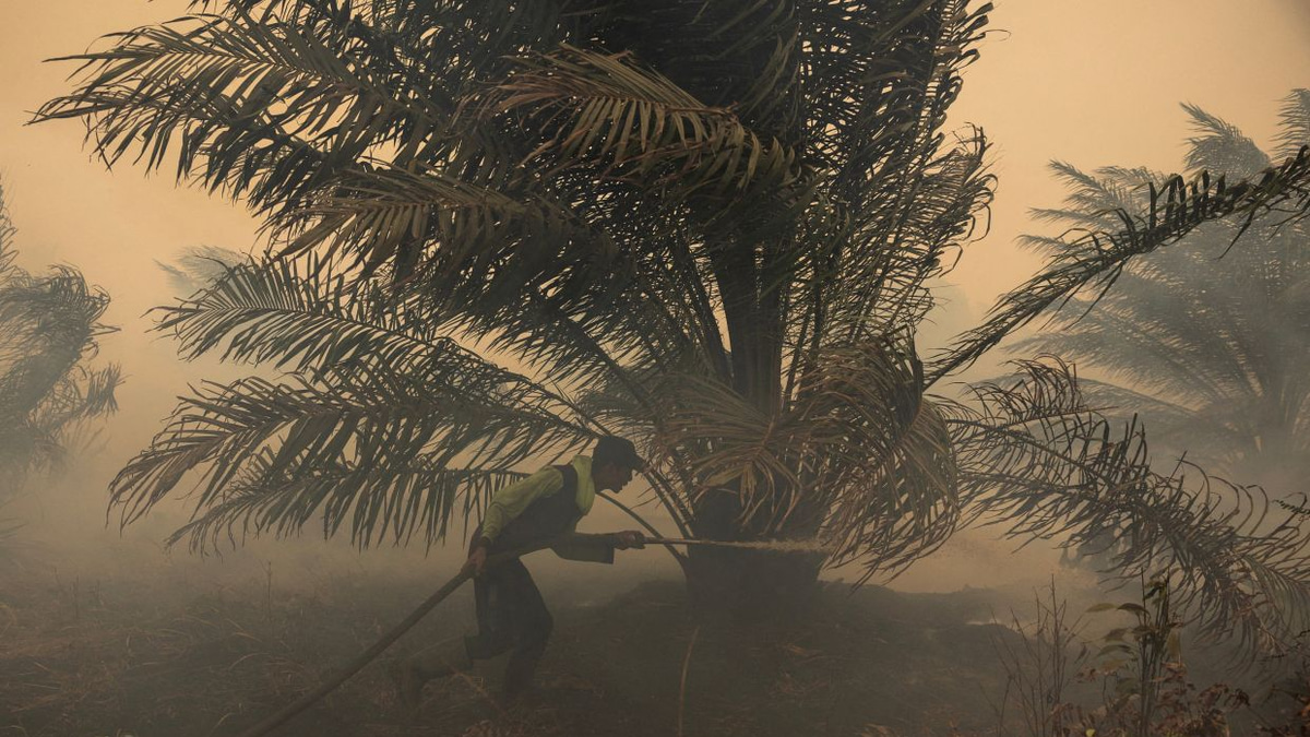 Japan deploys helicopters as Kalimantan haze crisis deepens, ISPU exceeds hazardous levels