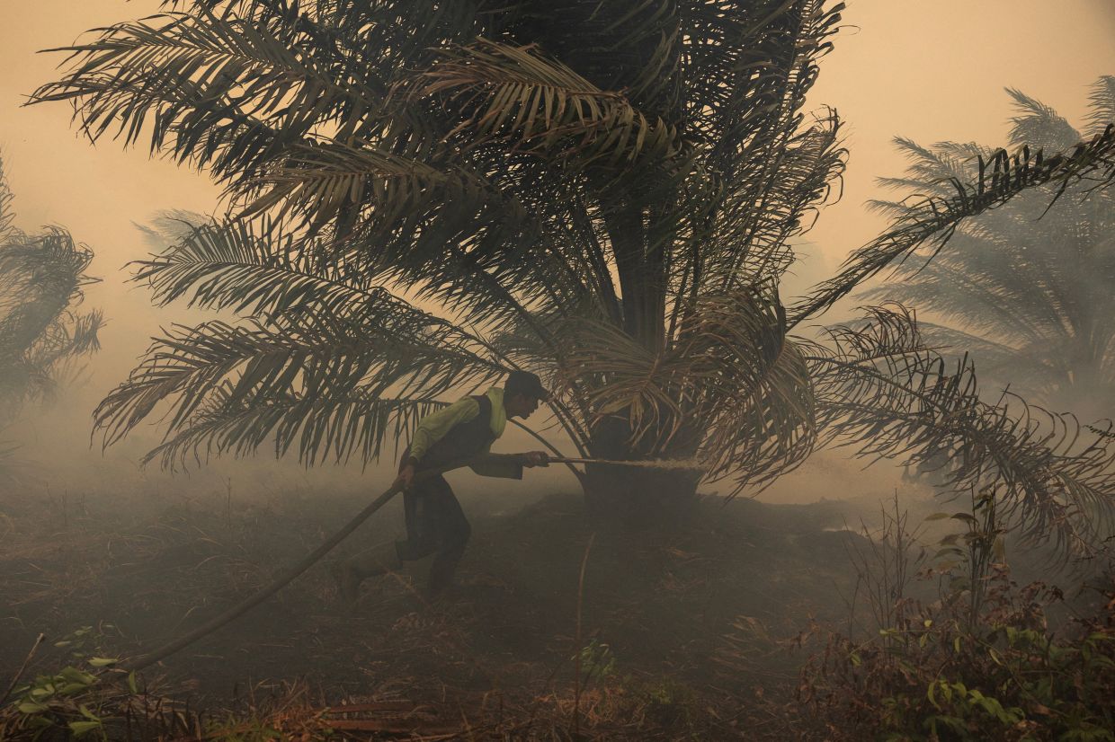 Japan deploys helicopters as Kalimantan haze crisis deepens, ISPU exceeds hazardous levels