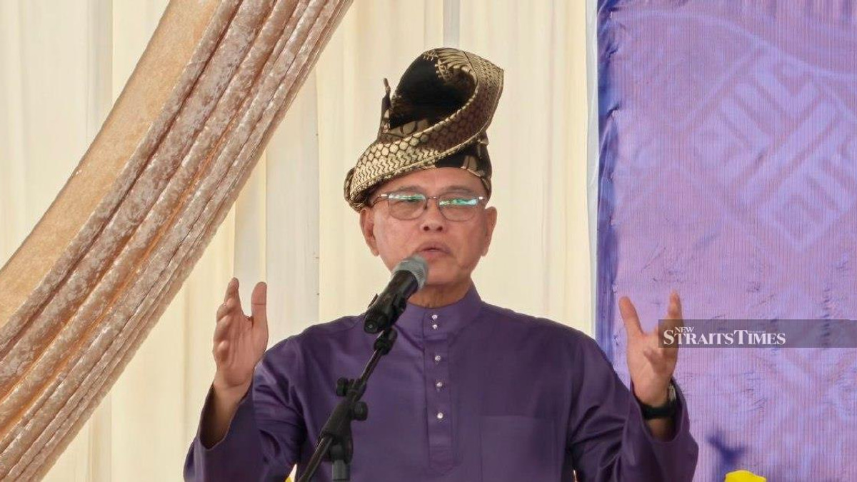 Negri Sembilan voters chose stability over race, says Umno vice-president