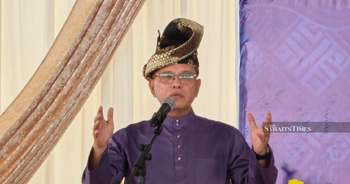 Negri Sembilan voters chose stability over race, says Umno vice-president