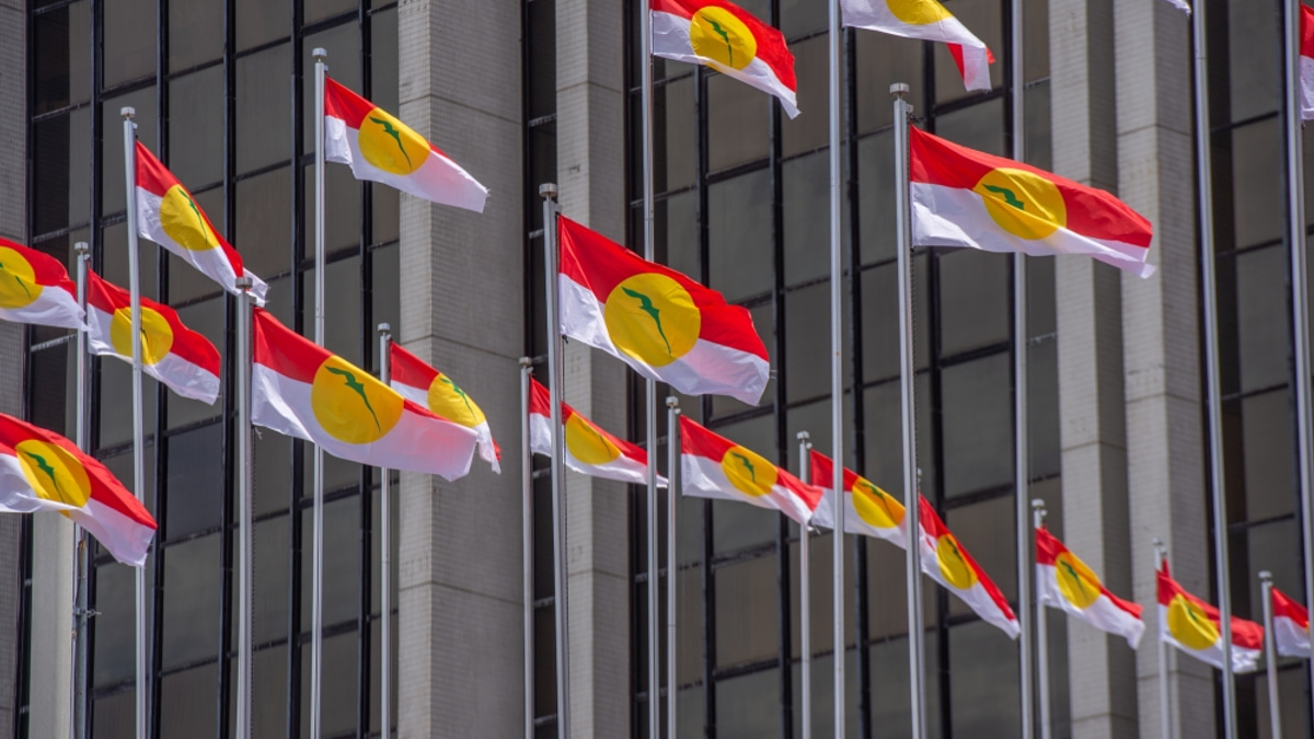 Perlis Umno Set to Challenge for All 18 Seats Without Coalition Partners