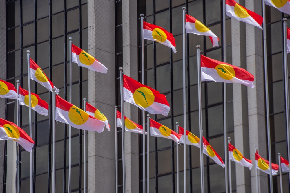 Perlis Umno Set to Challenge for All 18 Seats Without Coalition Partners