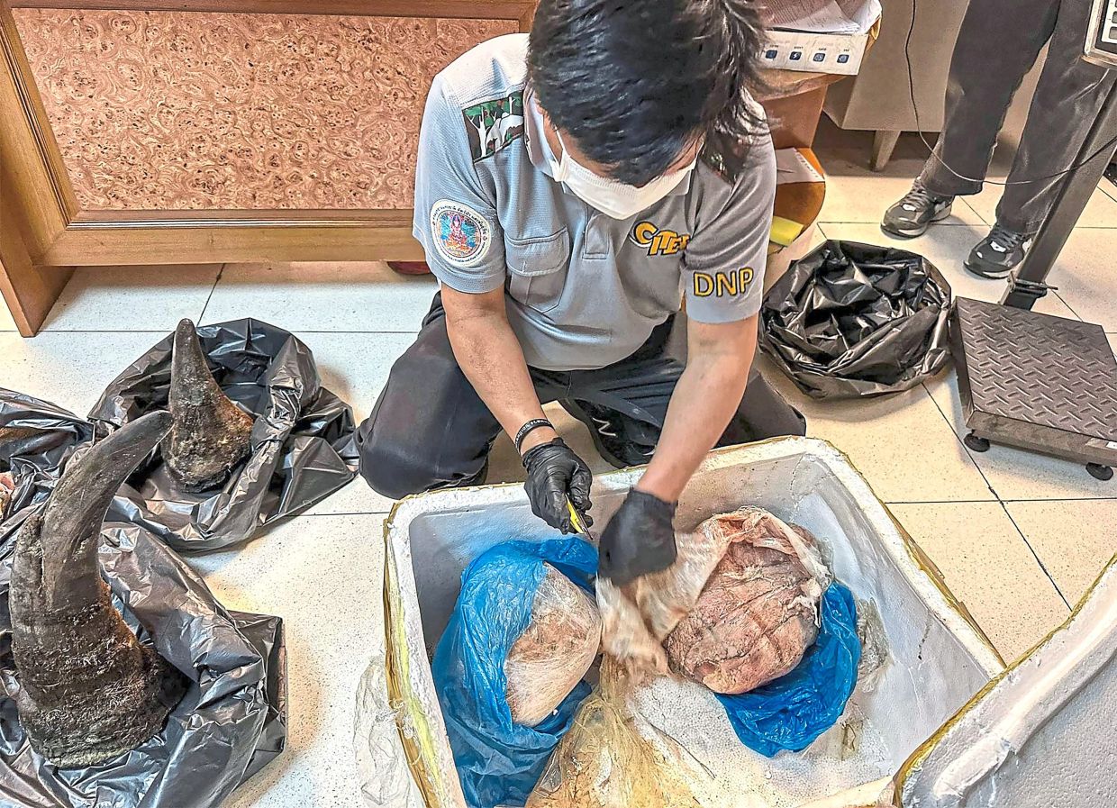 Thailand Launches Sweeping Airport Security Overhaul After Flight Attendant Drug Arrest