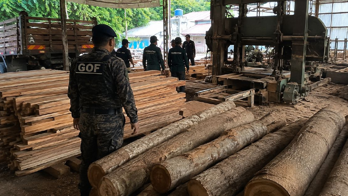 Authorities seize RM640,510 in timber and equipment from illegal Terengganu sawmill operation