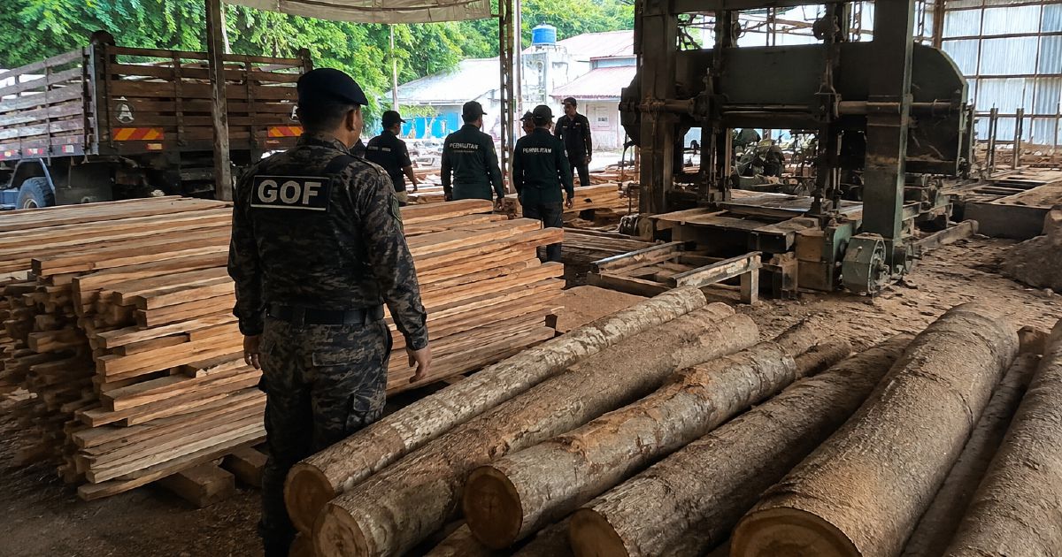 Authorities seize RM640,510 in timber and equipment from illegal Terengganu sawmill operation