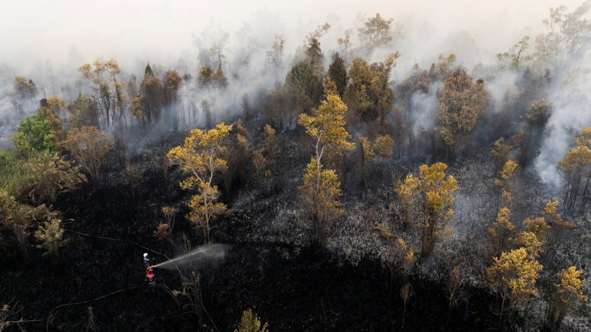 Singkawang Airport Shuts Down as Kalimantan Haze Crisis Intensifies