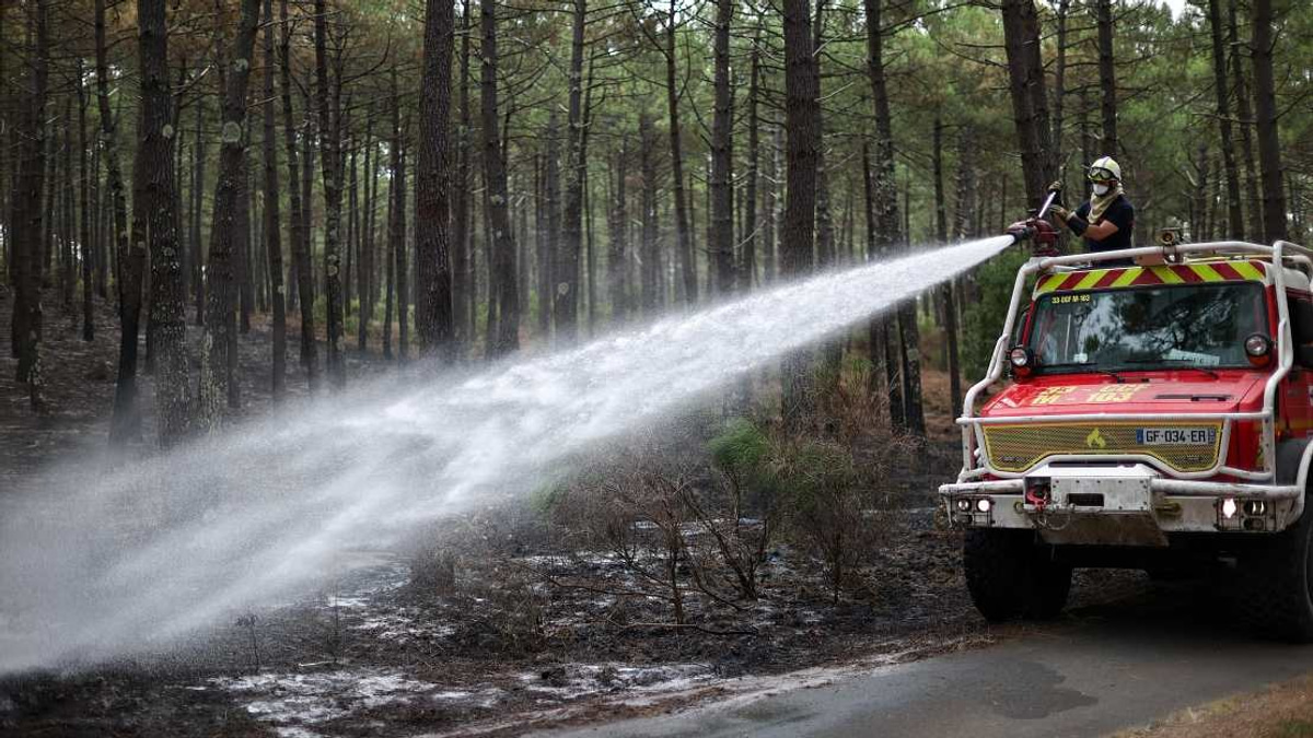 France Arrests Over 300 People Linked to Devastating Wildfire Season