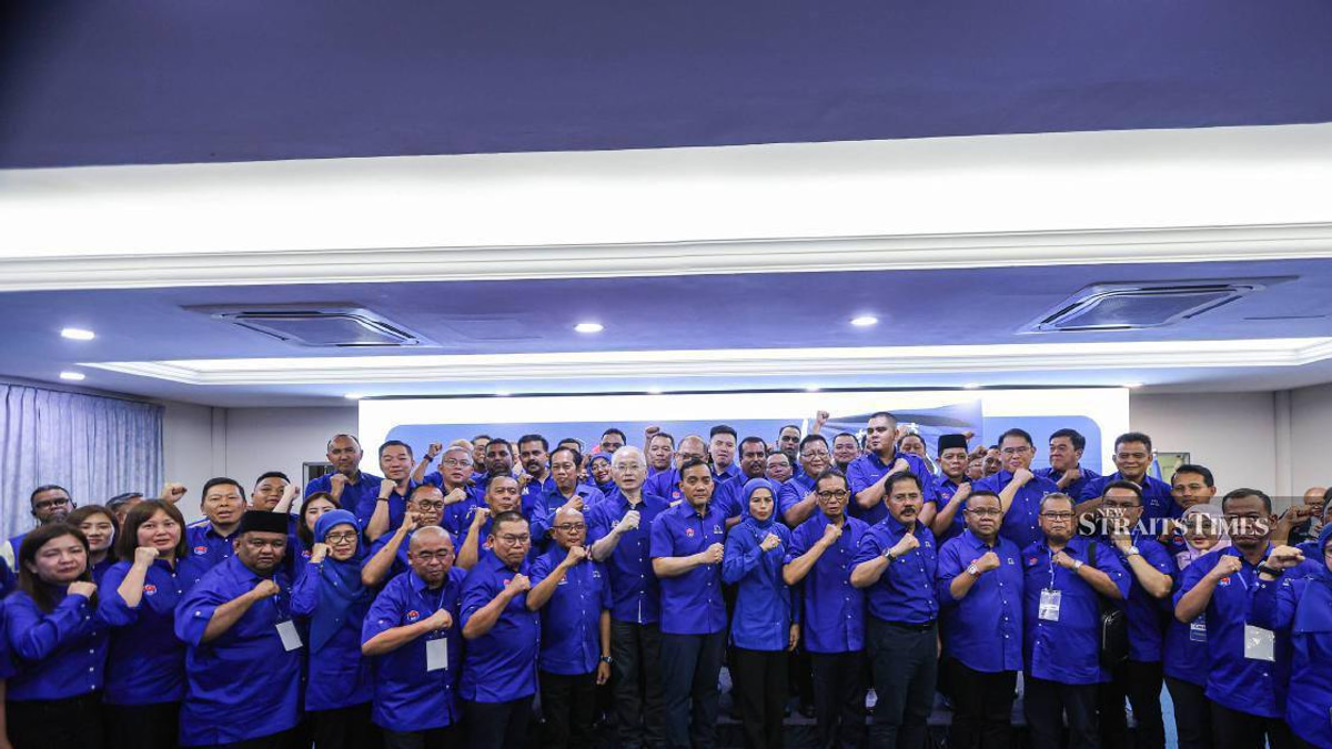Barisan Nasional fields complete 56-candidate team for Johor state election