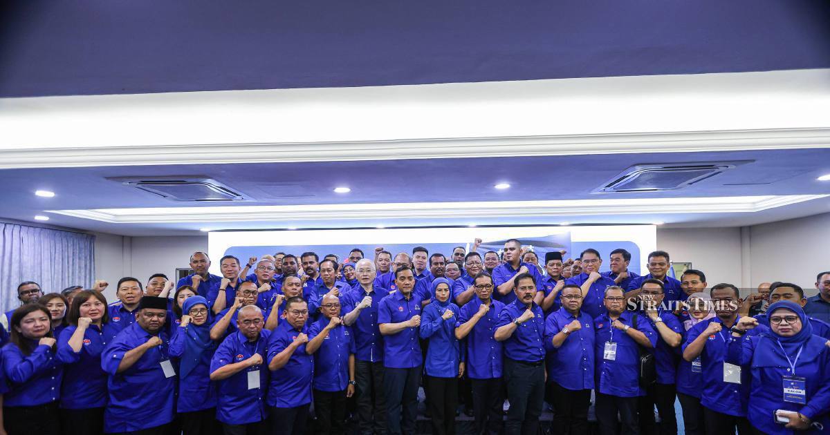 Barisan Nasional fields complete 56-candidate team for Johor state election