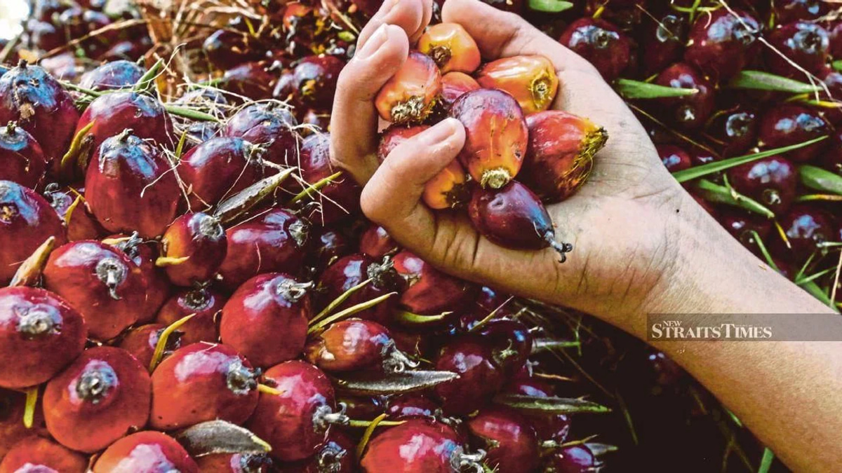 Former KLK Employee Denies Charges Over Concealed Palm Oil Records