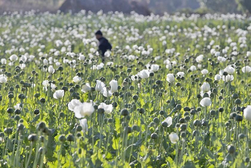 Myanmar Police Seize Over 17kg of Heroin and Million Stimulant Pills in Major Crackdown