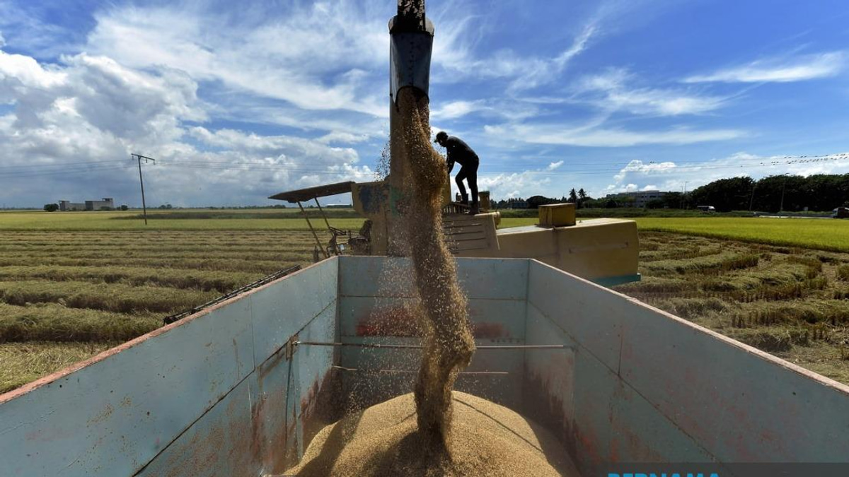 Malaysia Moves to Strengthen Rice Price Controls and Boost Penalties Under Amended Act