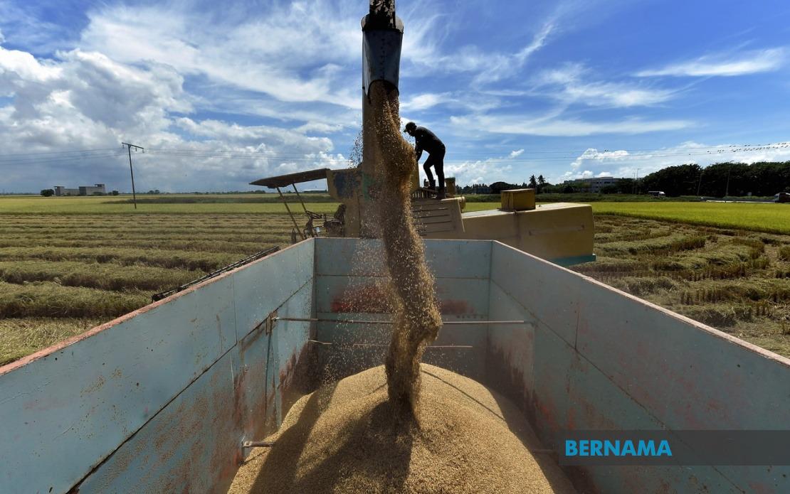 Malaysia Moves to Strengthen Rice Price Controls and Boost Penalties Under Amended Act