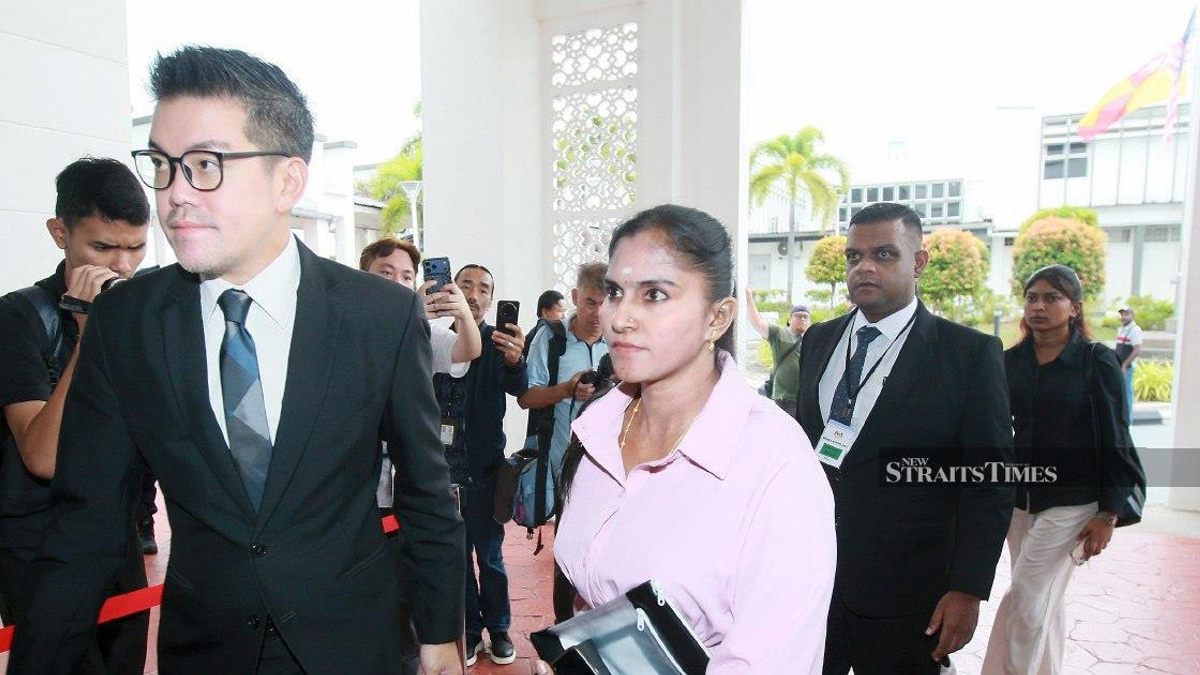 Pet Owner Charged with Unlicensed Dog Offence in Klang