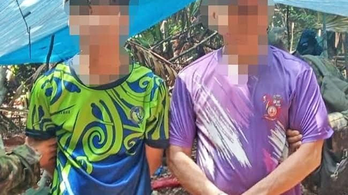 Brunei detains two foreigners in agarwood theft crackdown