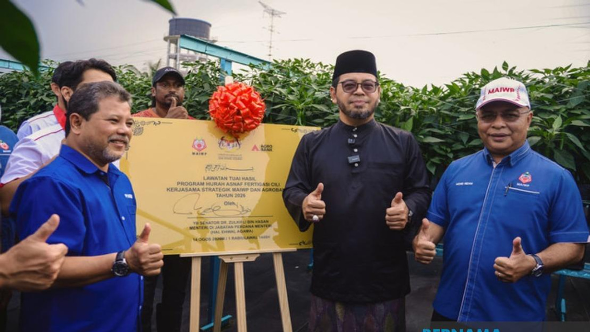 MAIWP Scales Up Asnaf Chilli Farming With Fertigation Technology, Expanding to Five Acres