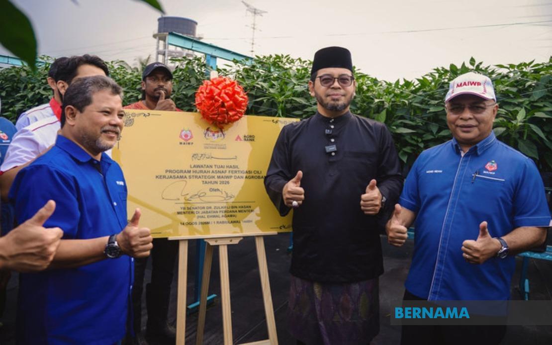 MAIWP Scales Up Asnaf Chilli Farming With Fertigation Technology, Expanding to Five Acres