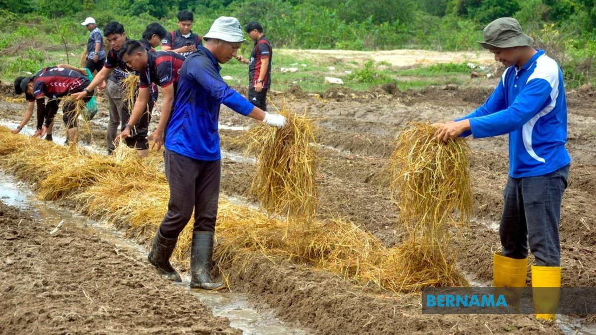 Agricultural TVET Employment Gains Ground But Still Lags National Average