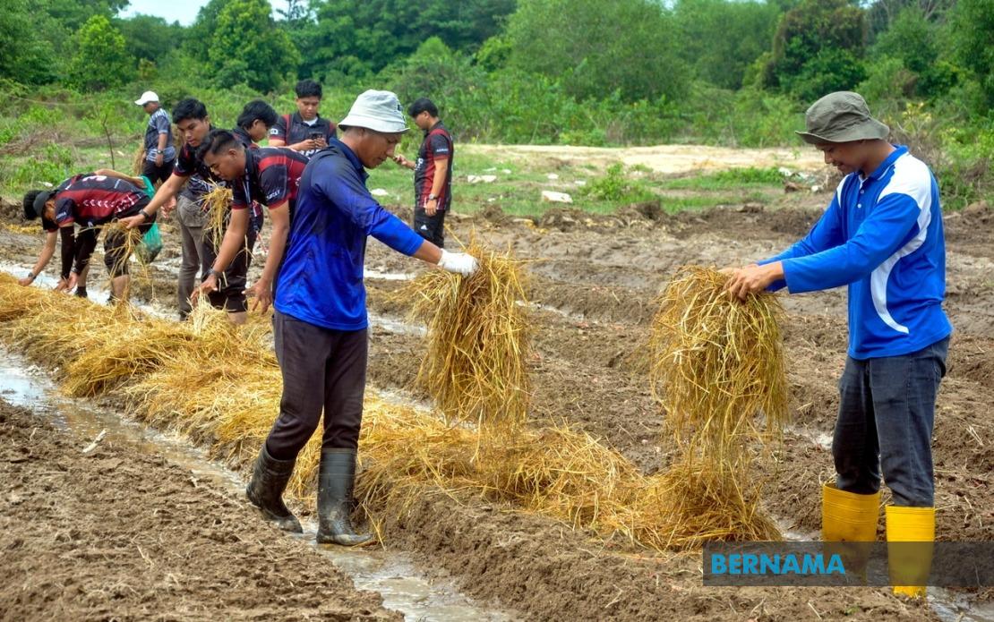 Agricultural TVET Employment Gains Ground But Still Lags National Average