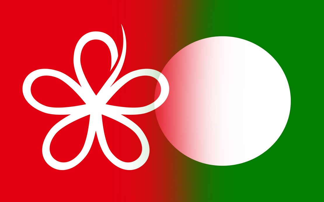 RoS Should Intervene in PN Crisis, Bersatu Warns Against PAS Overreach