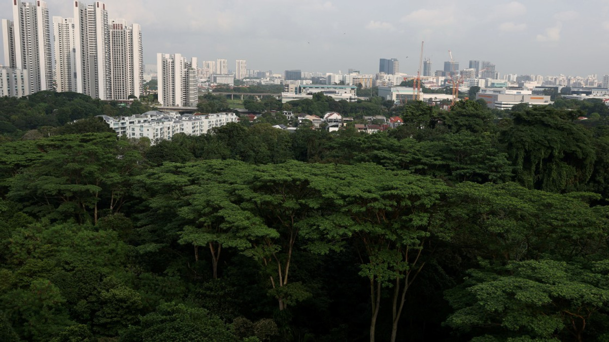 Singapore Arrests Three Teenagers Over Plots for Violent Attacks