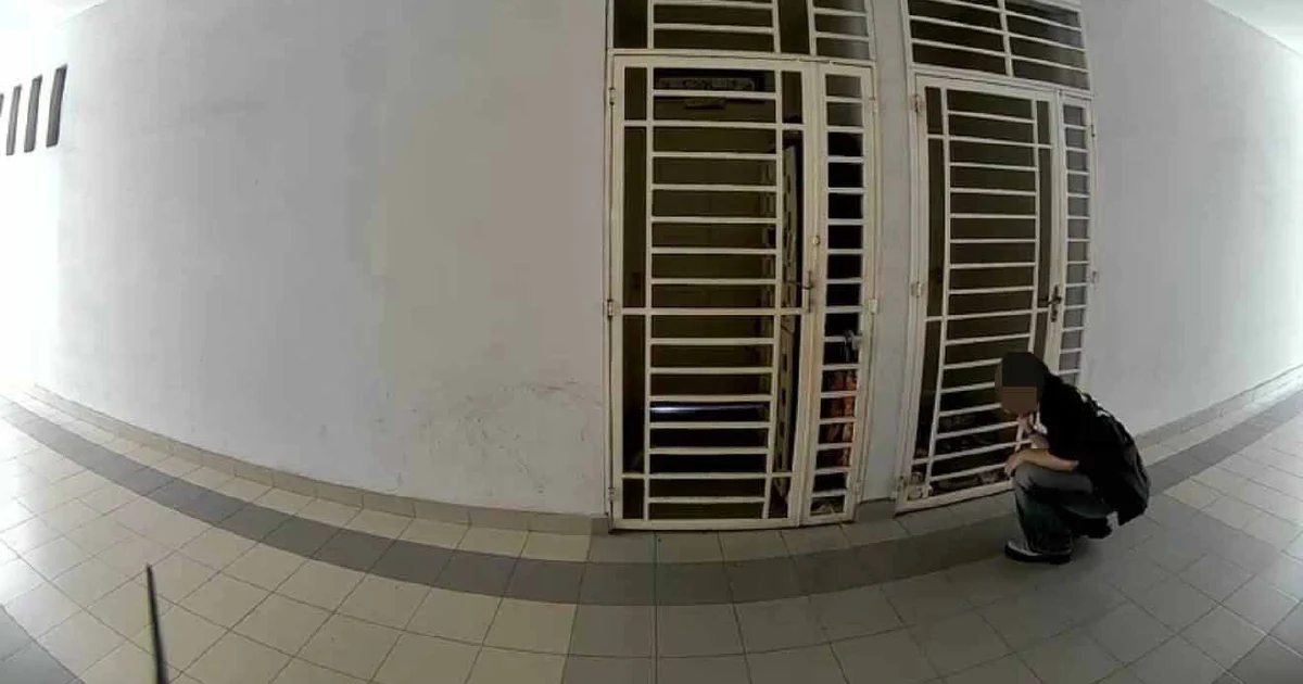 University Student Arrested for Alleged Stalking and Harassment of Classmate