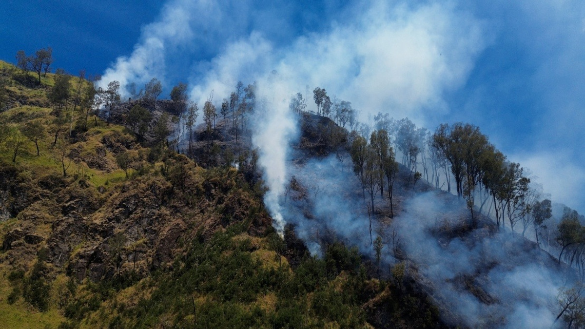 Indonesia Closes Mount Bromo to Visitors as Wildfire Engulfs East Java Peak