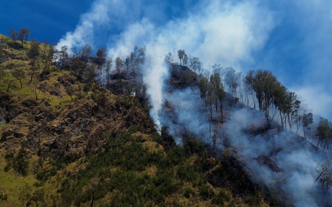 Indonesia Closes Mount Bromo to Visitors as Wildfire Engulfs East Java Peak