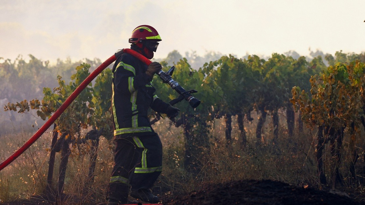 Massive Wildfires Ravage Southeast France, Displacing Hundreds Amid Record Heat Wave