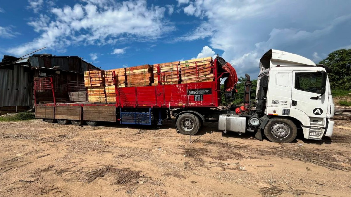 Five arrested as RM2.32 million illegal timber operation shut down in Kelantan