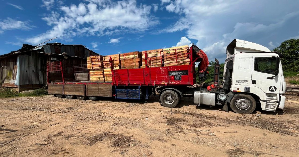 Five arrested as RM2.32 million illegal timber operation shut down in Kelantan