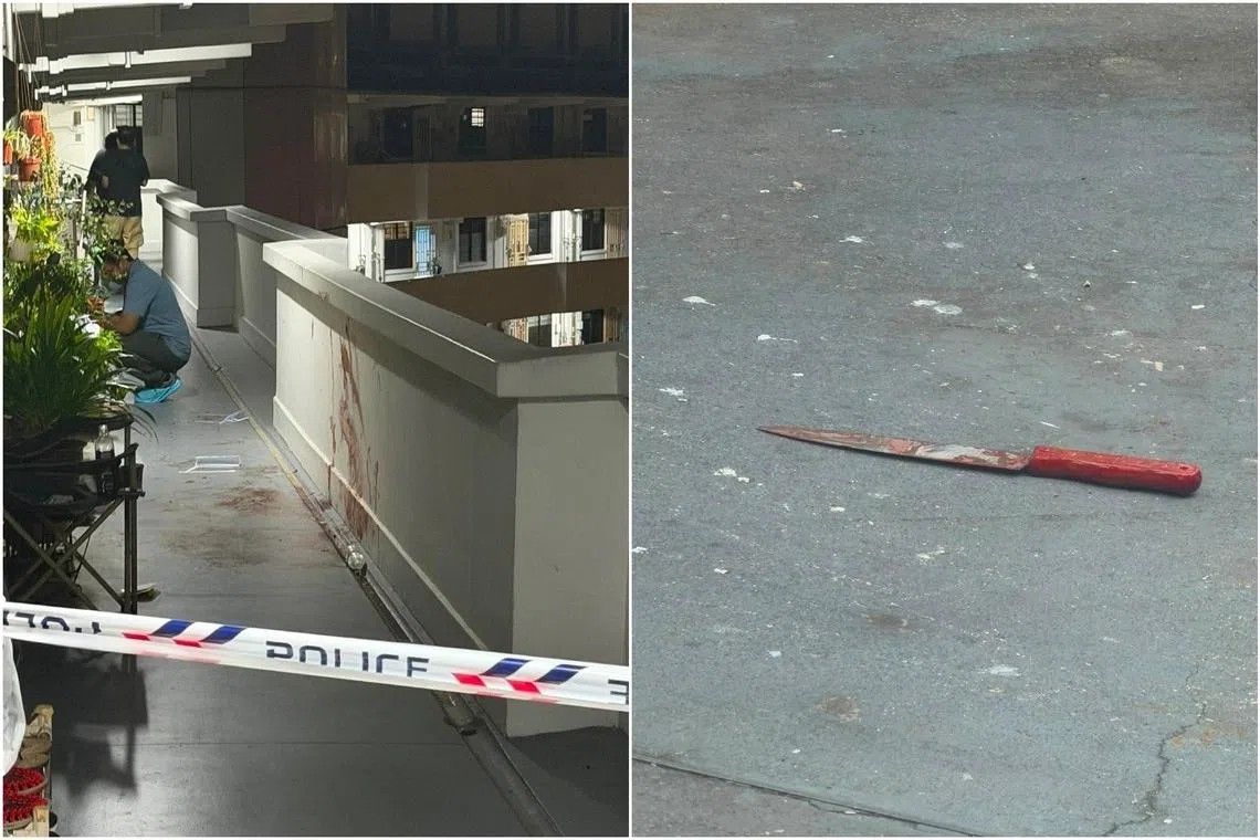 Neighbour charged with murder in Singapore residential block killing