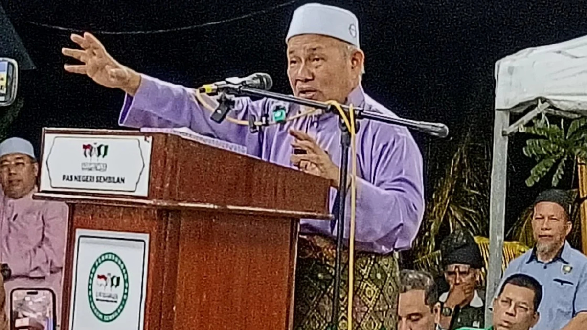 PN belongs to all parties, not just Bersatu, Tuan Ibrahim insists