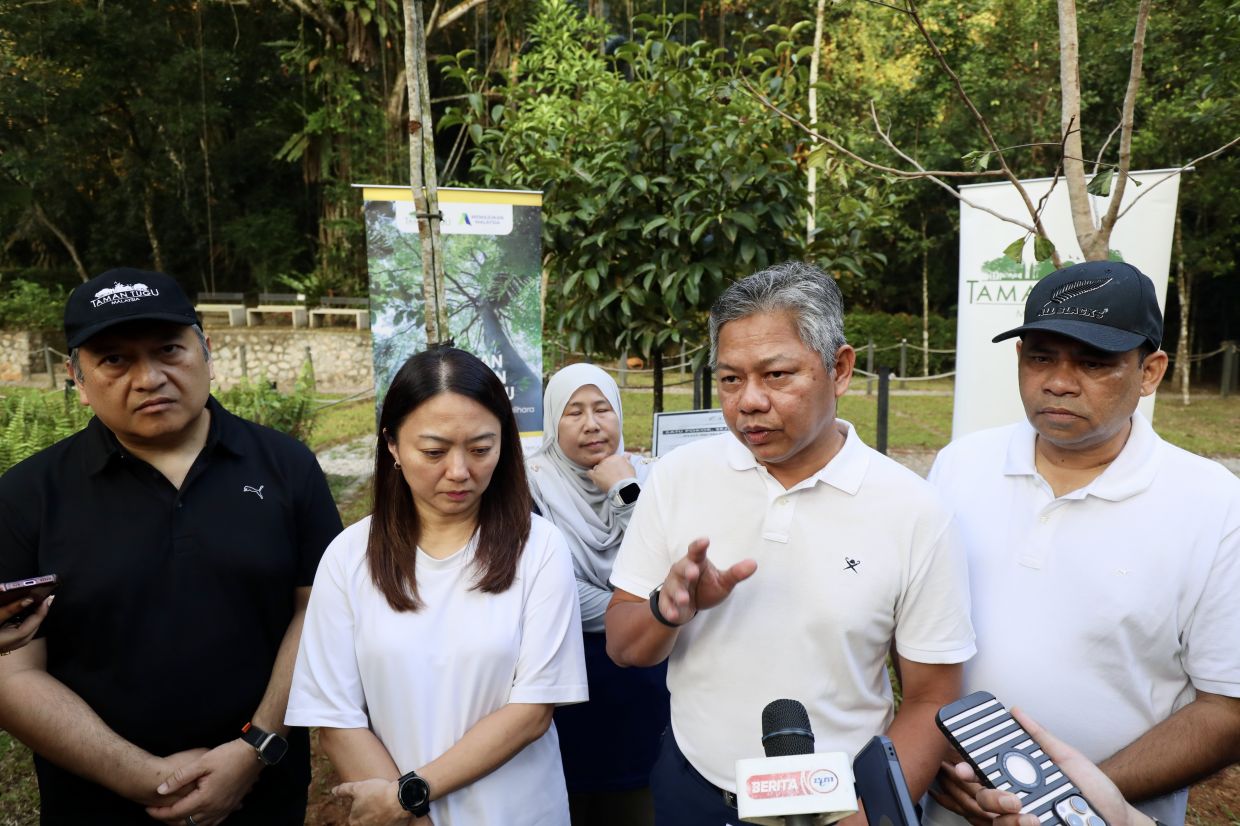 DBKL deploys 200 sensors to track hazardous trees across Kuala Lumpur