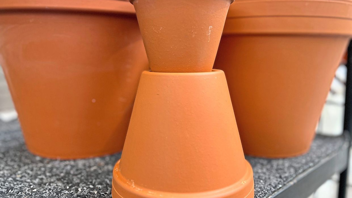 Gardeners in Southeast Asia Take Steps to Keep Microplastics Out of Their Soil