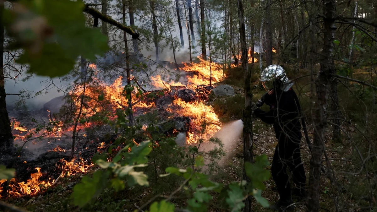 Major Wildfires Consume 1,300 Hectares of Historic French Forest Near Paris as Arson Suspects Detained