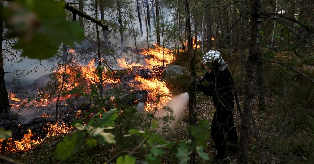 Major Wildfires Consume 1,300 Hectares of Historic French Forest Near Paris as Arson Suspects Detained