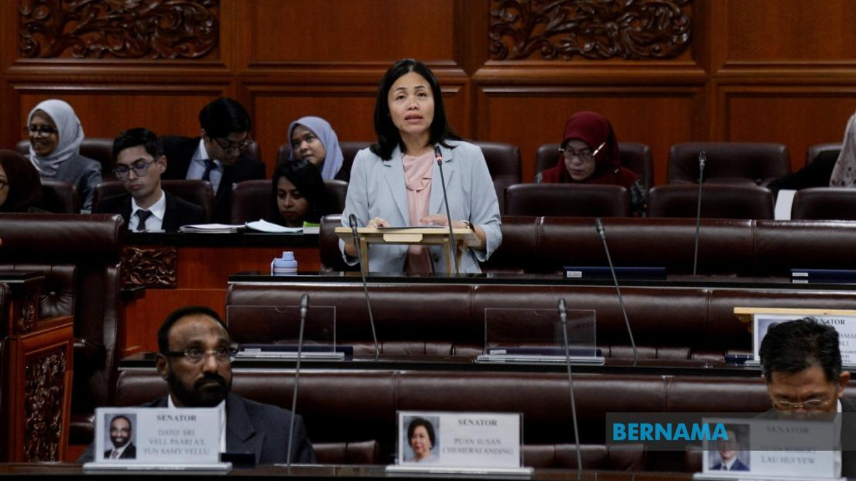 Senate Approves Communications Regulator Amendment Bill to Strengthen Digital Oversight