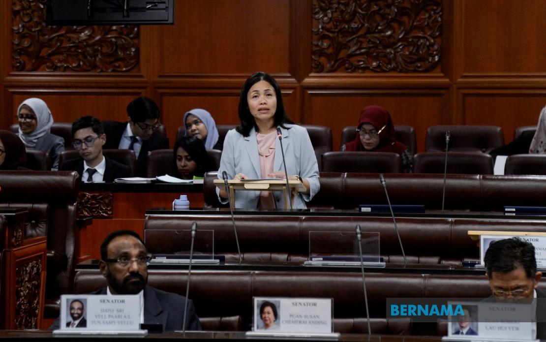 Senate Approves Communications Regulator Amendment Bill to Strengthen Digital Oversight