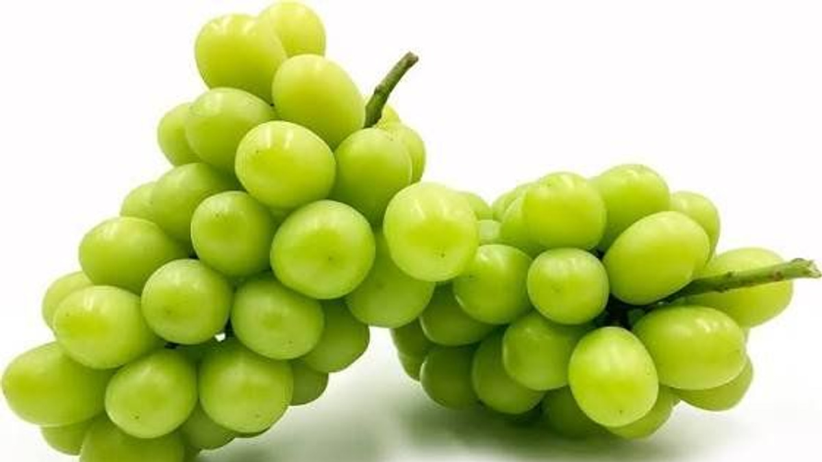 Japanese man arrested for stealing RM36,000 worth of premium grapes from greenhouse