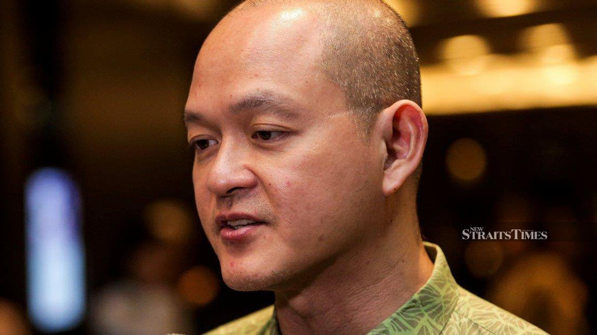 Former DAP MP urges party delegates to vote for cabinet exit at Sunday congress