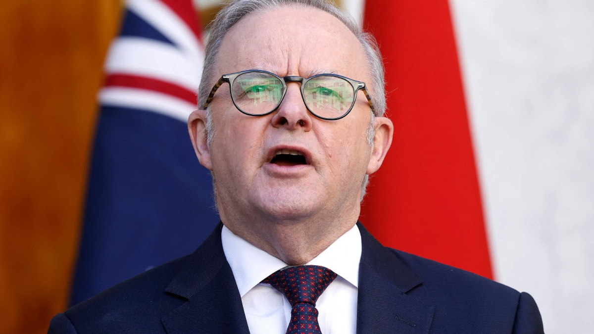 Albanese Faces Backlash for Off-Colour Remark About Japanese PM's Gift