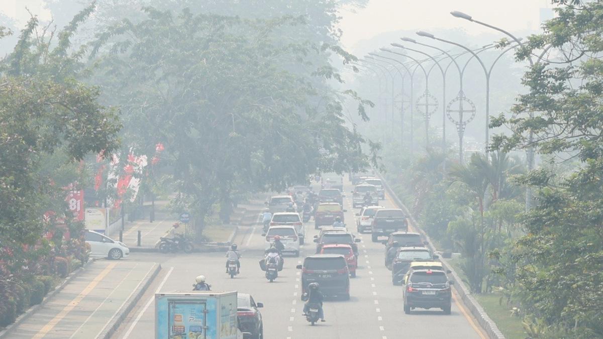 Indonesia's Air Pollution Reaches Critical Levels as Forest Fires Engulf Kalimantan and Sumatra