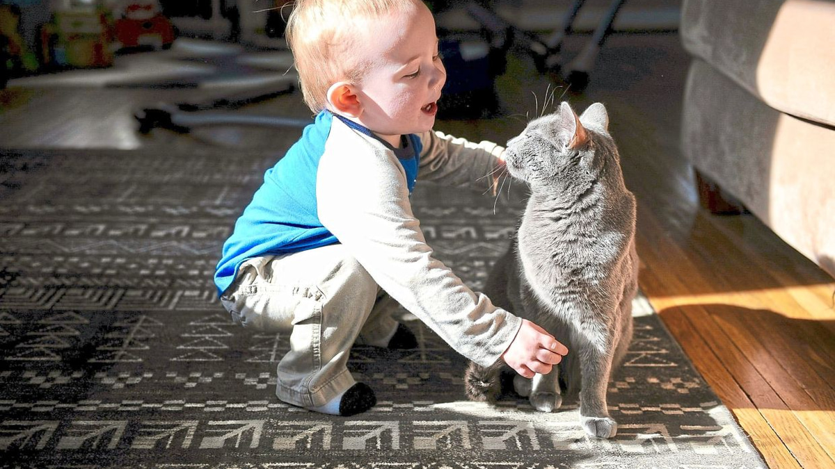 Swedish Study Challenges Belief That Pet Cats Worsen Children's Asthma
