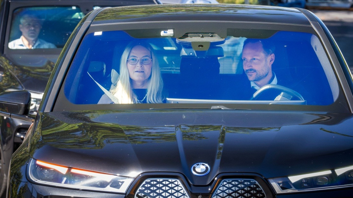 Norwegian King Harald's Health Takes Critical Turn as Palace Announces 'Very Serious' Condition