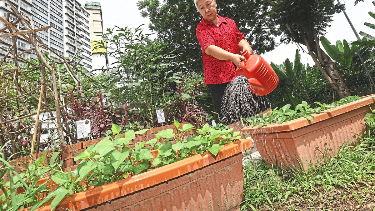 From Wasteland to Wonder: How Kuala Lumpur's Food Forest is Transforming Senior Living