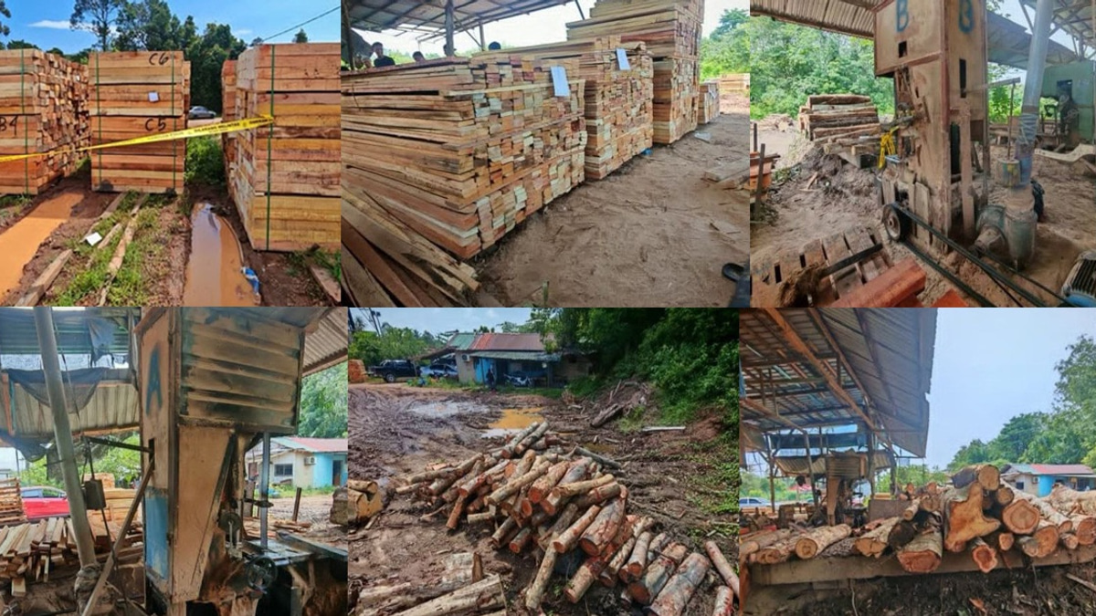 Sawmill Operator and Three Workers Held in Kelantan Timber Trafficking Raid