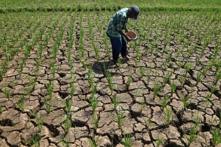 Indonesia's Drought Crisis Deepens as El Niño Intensifies Across Archipelago