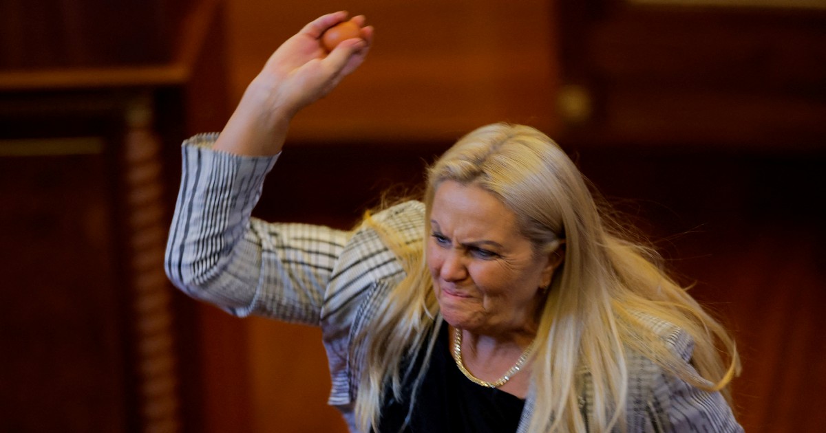 Kosovo's Political Crisis Deepens as Parliament Suspends Session Following Egg Attack