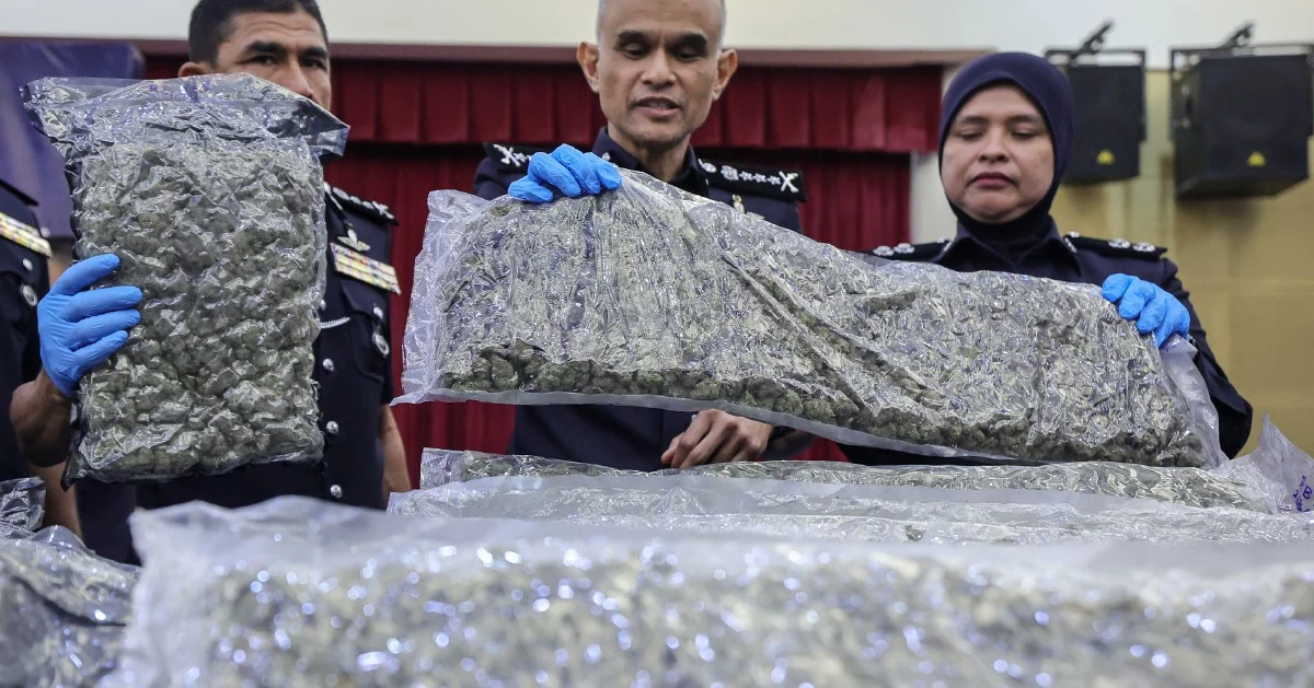 Police Bust Major Cannabis Operation at KLIA, 38 Arrested in Regional Drug Trafficking Network